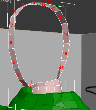 First loop of head polygons